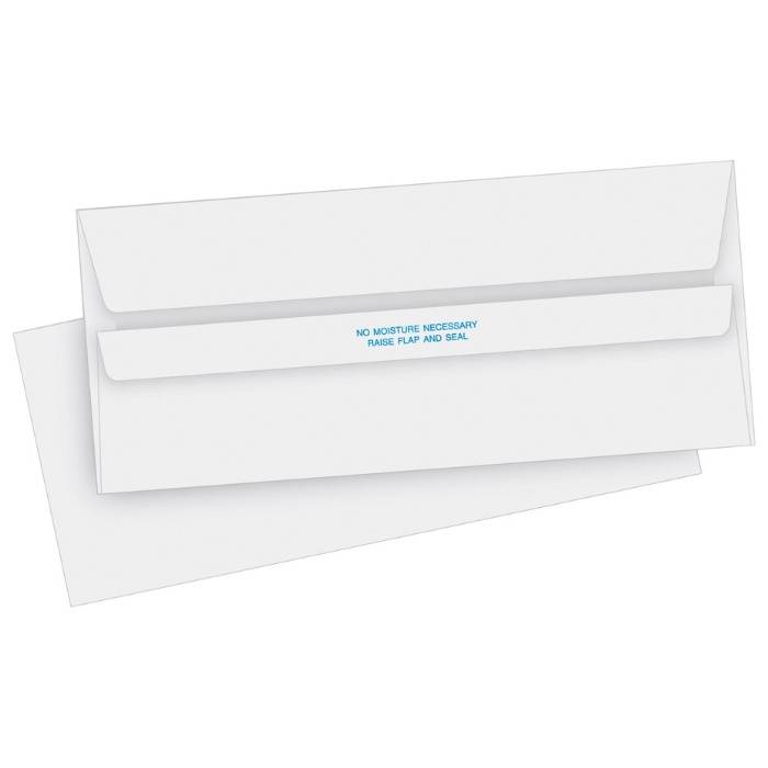 Pay Envelope with Print #8 1/2 (box) 1